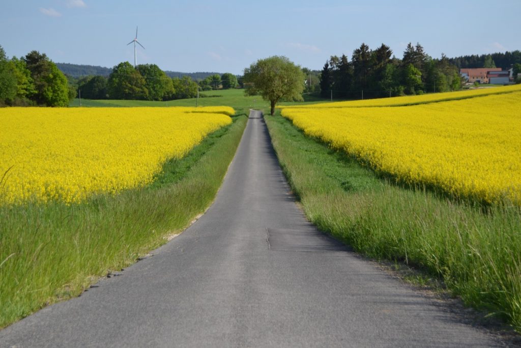 Germany In the Spring