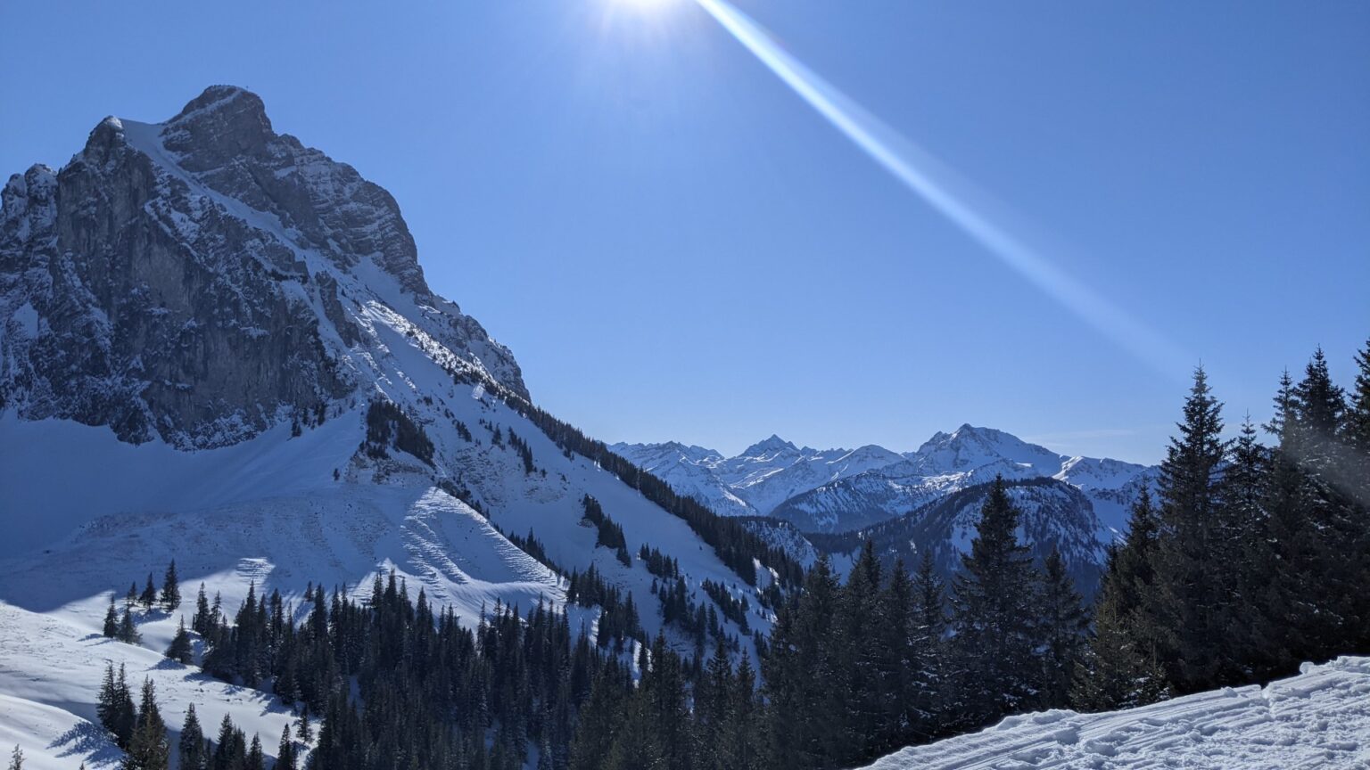 Pfronten Sledding: The Longest Toboggan Run in the Allgäu Germany Alps ...